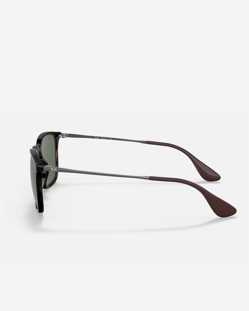 Ray-Ban Chris Sunglasses - Havana/Green