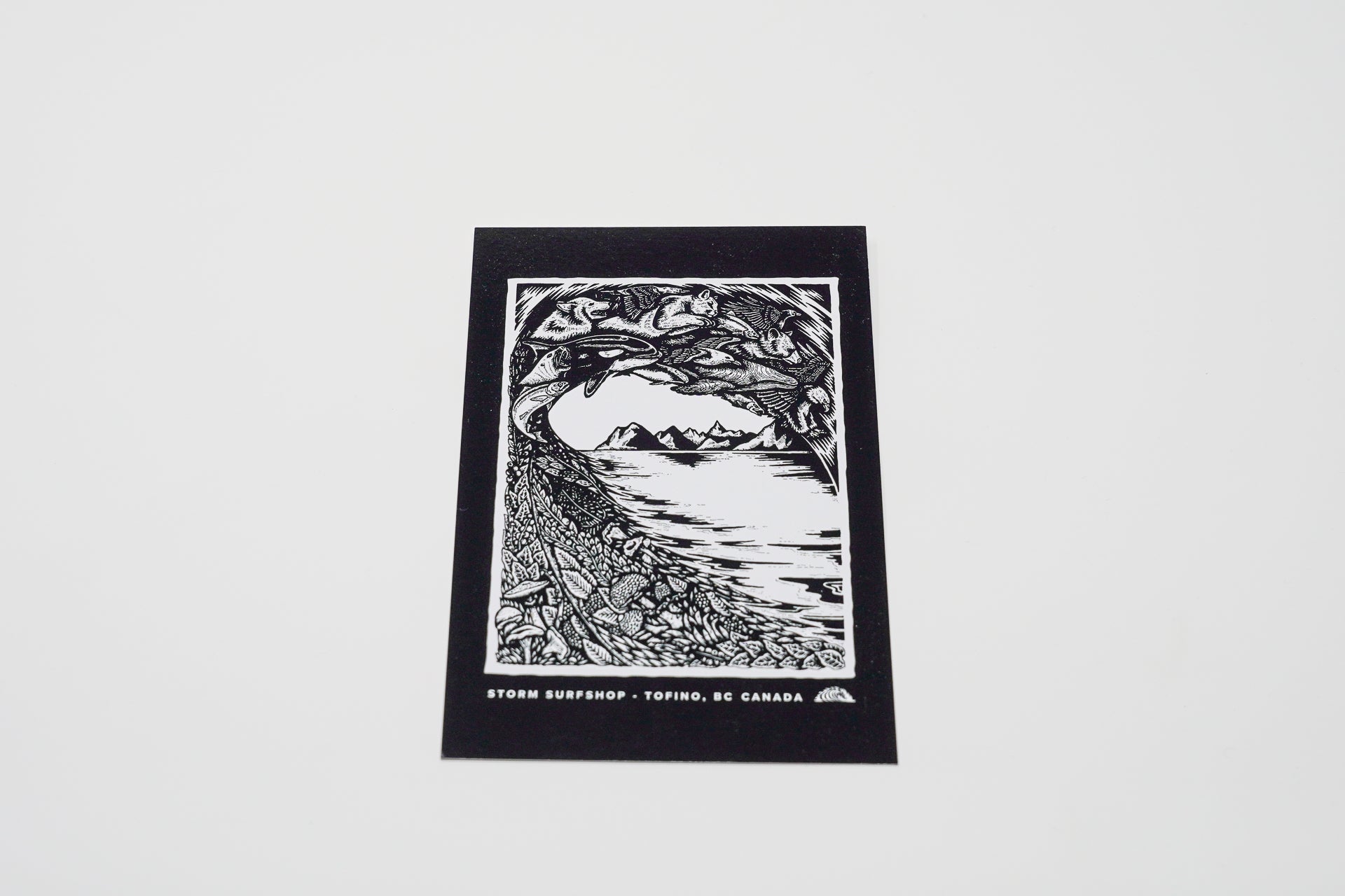 Storm Animal Wave Postcard