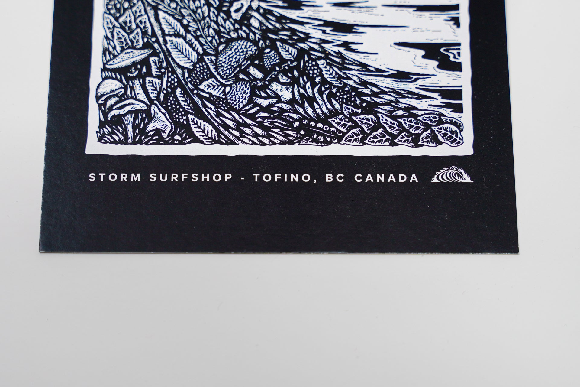 Storm Animal Wave Postcard