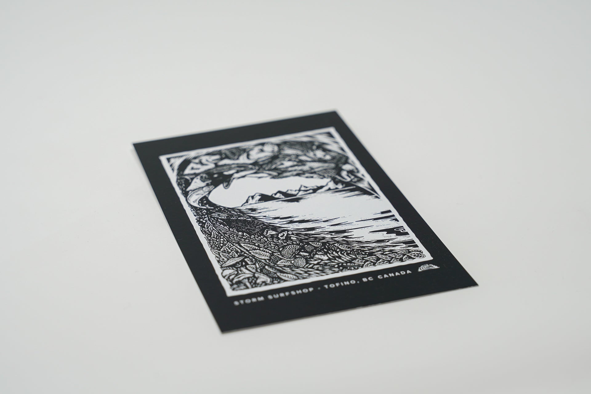 Storm Animal Wave Postcard