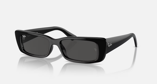 Ray Ban Teru Black - Dark Grey