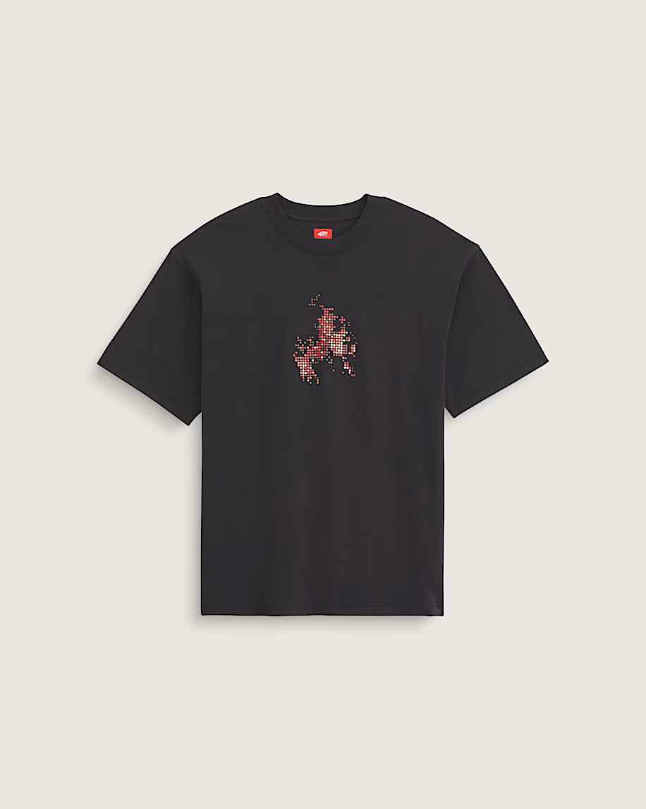 Vans Skate Flame SS Tee