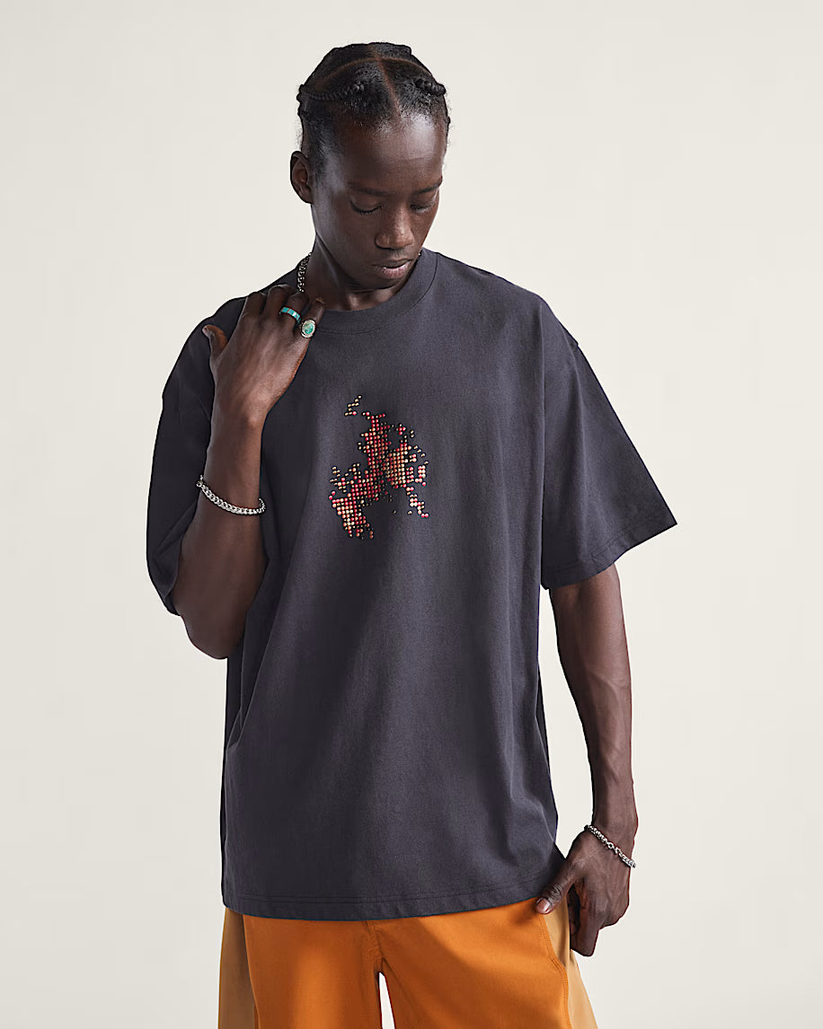 Vans Skate Flame SS Tee