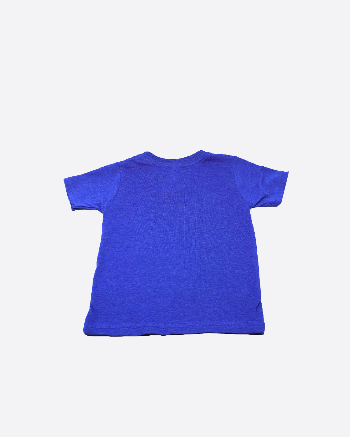 Storm Surfer In Training Toddler Tee - Blue