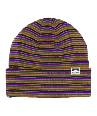 Autumn Mix Stripe Toque