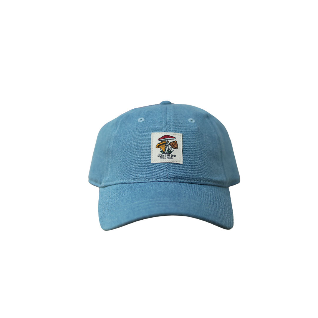 Storm Mushroom 6-Panel Hat