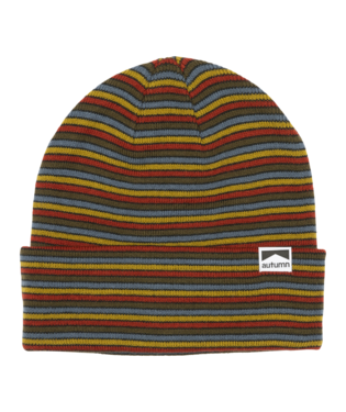 Autumn Mix Stripe Toque