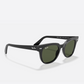 Ray-Ban Meteor Sunglasses - Black